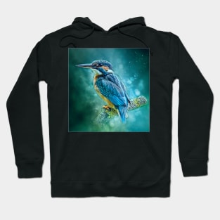 Alert Kingfisher Hoodie